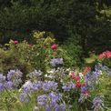 Otter House - Beautiful Gardens Alan Titchmarsh Slim Calendar 2027 additional 1