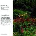 Otter House - Beautiful Gardens Alan Titchmarsh Slim Diary 2027 additional 4