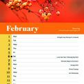 Otter House - Birds RSPB Slim Calendar 2027 additional 2