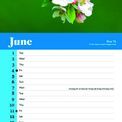 Otter House - Birds RSPB Slim Calendar 2027 additional 4