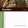 Otter House - Birds RSPB Slim Calendar 2027 additional 5