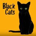 Otter House - Black Cats Wall Calendar 2027 additional 1