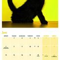 Otter House - Black Cats Wall Calendar 2027 additional 3