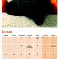 Otter House - Black Cats Wall Calendar 2027 additional 4