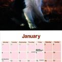 Otter House - Border Collie Wall Calendar 2027 additional 2