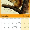 Otter House - Bree Merryn British Wildlife Wall Calendar 2027 additional 2
