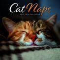 Otter House - Cat Naps Easel Calendar 2027 additional 1