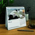 Otter House - Cat Naps Easel Calendar 2027 additional 5