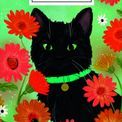 Otter House - Cats Illustrated Slim Diary 2027 additional 1