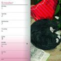 Otter House - Cats Illustrated Slim Diary 2027 additional 4