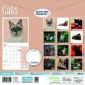 Otter House - Cats Wall Calendar 2027 additional 3