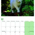 Otter House - Cats Wall Calendar 2027 additional 2