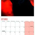 Otter House - Cats Wall Calendar 2027 additional 4