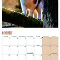 Otter House - Cats Wall Calendar 2027 additional 5
