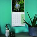 Otter House - Cats Wall Calendar 2027 additional 6