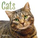 Otter House - Cats Wall Calendar 2027 additional 1