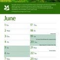 Otter House - Coast &amp; Countryside National Trust Slim Calendar 2027 additional 4