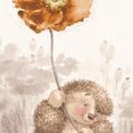 Otter House - Country Companions Slim Calendar 2027 additional 1