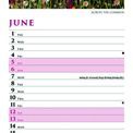 Otter House - Country Days Jo Grundy Slim Calendar 2027 additional 4