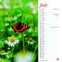 Otter House - Country Living Wiro Wall Calendar 2027 additional 5