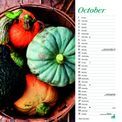 Otter House - Country Living Wiro Wall Calendar 2027 additional 6