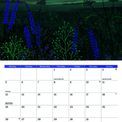 Otter House - Country Year Jo Grundy A4 Calendar 2027 additional 5