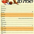 Otter House - Emma Bridgewater Chickens &amp; Hens Slim Calendar 2027 additional 3