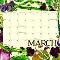 Otter House - Emma Bridgewater Wiro Wall Calendar 2027 additional 2