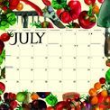 Otter House - Emma Bridgewater Wiro Wall Calendar 2027 additional 5