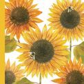 Otter House - Fashion Diary Sunflowers A6 Diary 2027 additional 1