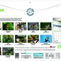 Otter House - Garden Birds A4 Calendar 2027 additional 4