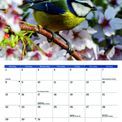 Otter House - Garden Birds A4 Calendar 2027 additional 3