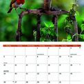 Otter House - Garden Birds A4 Calendar 2027 additional 6