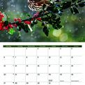 Otter House - Garden Birds A4 Calendar 2027 additional 5
