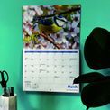 Otter House - Garden Birds A4 Calendar 2027 additional 2