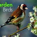 Otter House - Garden Birds A4 Calendar 2027 additional 1