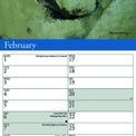 Otter House - Garden Birds by Pollyanna Pickering Slim Calendar 2027 additional 2