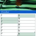 Otter House - Garden Birds by Pollyanna Pickering Slim Calendar 2027 additional 4