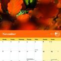 Otter House - Garden Birds RSPB Wall Calendar 2027 additional 3