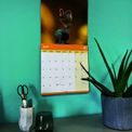 Otter House - Garden Birds RSPB Wall Calendar 2027 additional 4