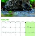 Otter House - Hedgehogs Wall Calendar 2027 additional 2