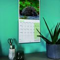 Otter House - Hedgehogs Wall Calendar 2027 additional 5