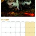 Otter House - Hedgehogs Wall Calendar 2027 additional 6