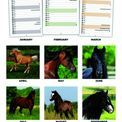 Otter House - Horses Slim Calendar 2027 additional 2