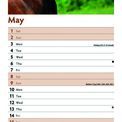 Otter House - Horses Slim Calendar 2027 additional 4