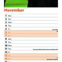 Otter House - Horses Slim Calendar 2027 additional 5