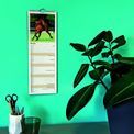 Otter House - Horses Slim Calendar 2027 additional 6