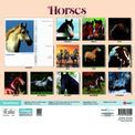 Otter House - Horses Wiro Wall Calendar 2027 additional 2