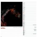 Otter House - Horses Wiro Wall Calendar 2027 additional 3