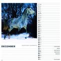 Otter House - Horses Wiro Wall Calendar 2027 additional 5
